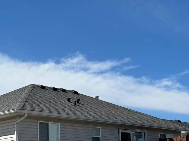 Best Roof Installation  in Big Sky, MT